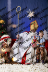 ©Beztrosco-Mikolajki-2024-WEB-IMG-143