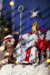 ©Beztrosco-Mikolajki-2024-WEB-IMG-154
