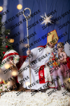 ©Beztrosco-Mikolajki-2024-WEB-IMG-179