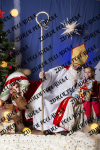 ©Beztrosco-Mikolajki-2024-WEB-IMG-205