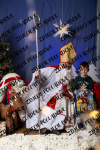 ©Beztrosco-Mikolajki-2024-WEB-IMG-04