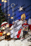 ©Beztrosco-Mikolajki-2024-WEB-IMG-239