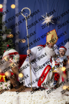 ©Beztrosco-Mikolajki-2024-WEB-IMG-275